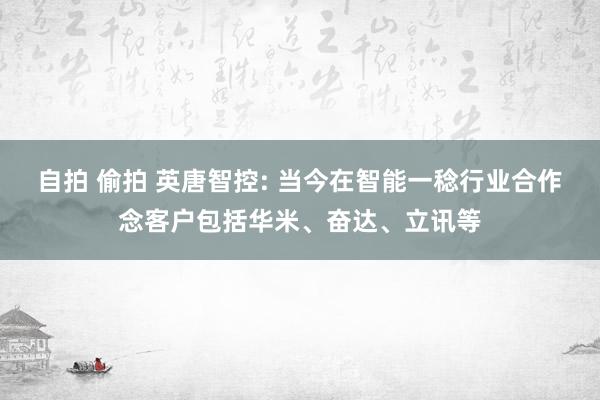 自拍 偷拍 英唐智控: 当今在智能一稔行业合作念客户包括华米、奋达、立讯等