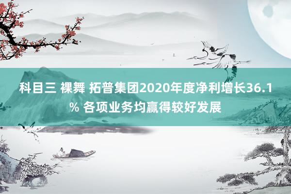 科目三 裸舞 拓普集团2020年度净利增长36.1% 各项业务均赢得较好发展