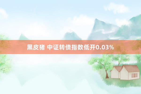 黑皮猪 中证转债指数低开0.03%