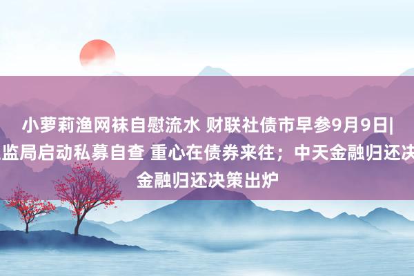 小萝莉渔网袜自慰流水 财联社债市早参9月9日| 浙江证监局启动私募自查 重心在债券来往；中天金融归还决策出炉