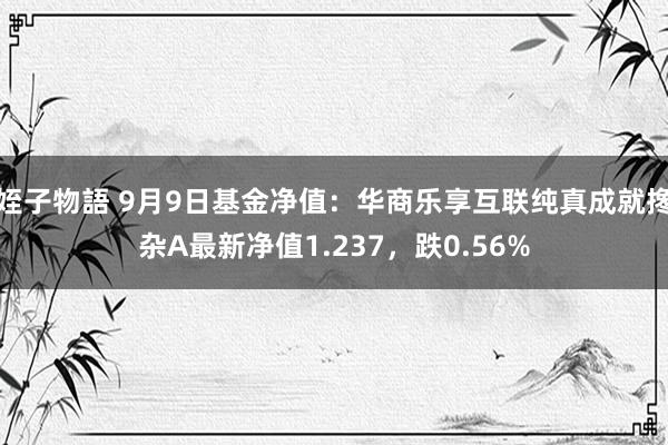 姪子物語 9月9日基金净值：华商乐享互联纯真成就搀杂A最新净值1.237，跌0.56%