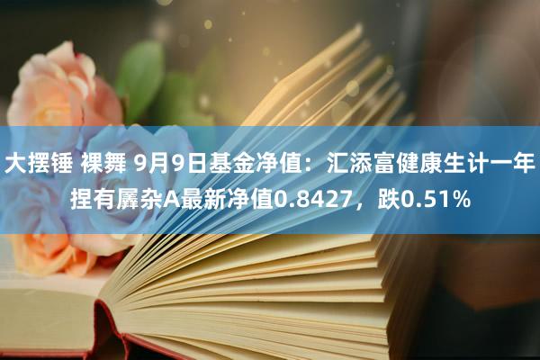 大摆锤 裸舞 9月9日基金净值：汇添富健康生计一年捏有羼杂A最新净值0.8427，跌0.51%