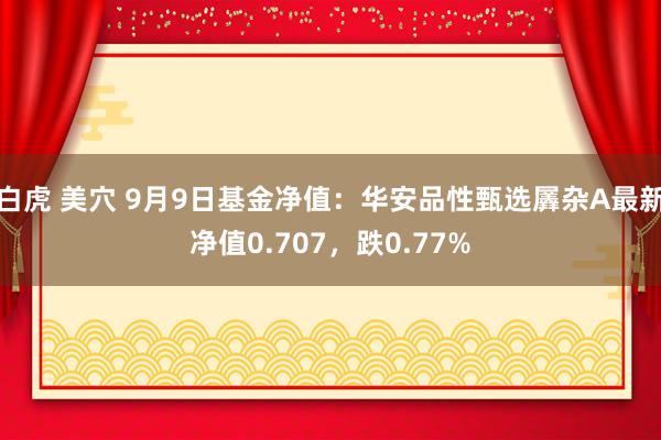 白虎 美穴 9月9日基金净值：华安品性甄选羼杂A最新净值0.707，跌0.77%