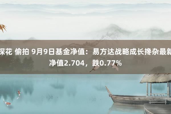 探花 偷拍 9月9日基金净值：易方达战略成长搀杂最新净值2.704，跌0.77%