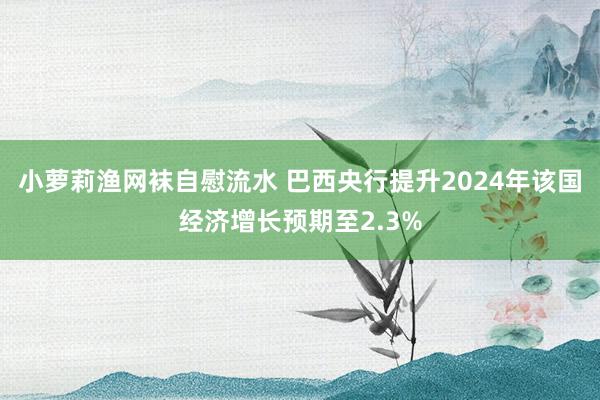 小萝莉渔网袜自慰流水 巴西央行提升2024年该国经济增长预期至2.3%