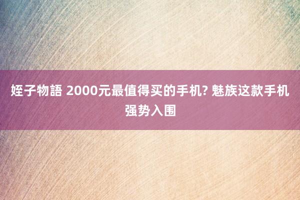 姪子物語 2000元最值得买的手机? 魅族这款手机强势入围