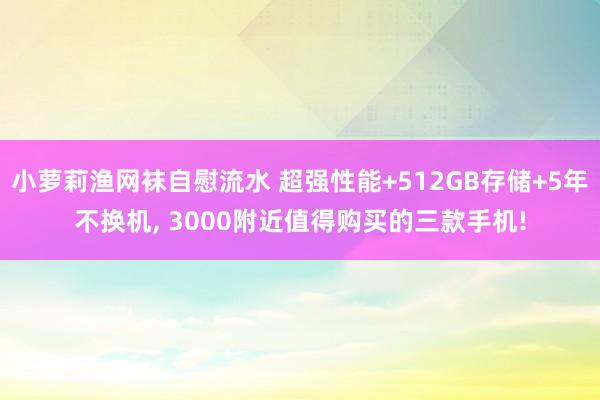 小萝莉渔网袜自慰流水 超强性能+512GB存储+5年不换机， 3000附近值得购买的三款手机!