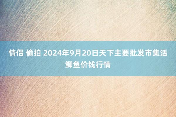 情侣 偷拍 2024年9月20日天下主要批发市集活鲫鱼价钱行情