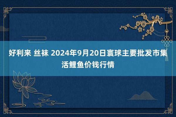 好利来 丝袜 2024年9月20日寰球主要批发市集活鲤鱼价钱行情