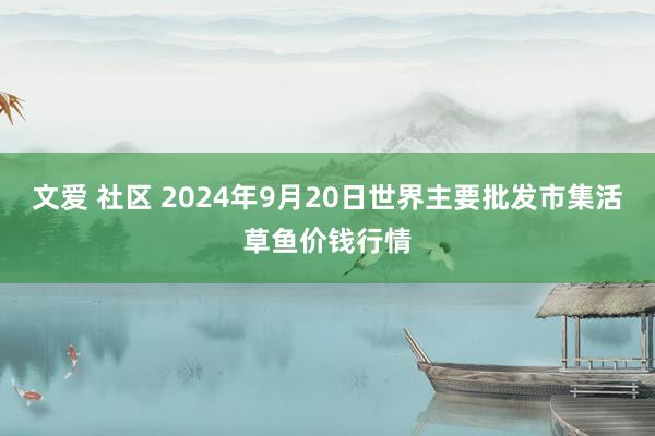 文爱 社区 2024年9月20日世界主要批发市集活草鱼价钱行情