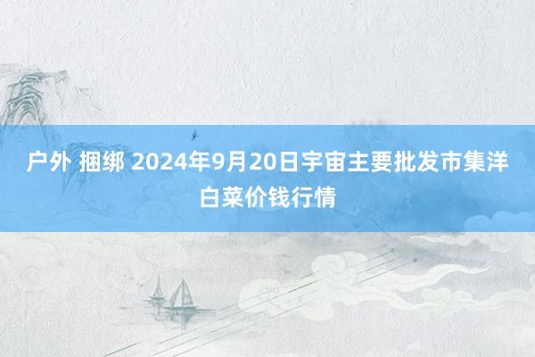 户外 捆绑 2024年9月20日宇宙主要批发市集洋白菜价钱行情