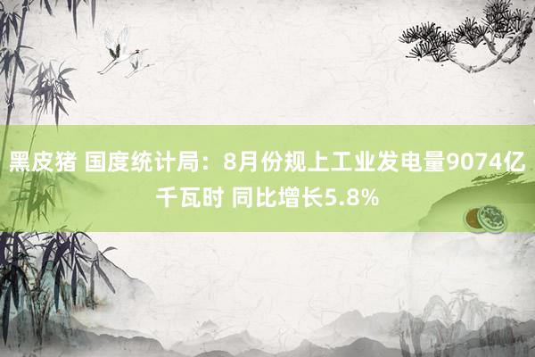 黑皮猪 国度统计局：8月份规上工业发电量9074亿千瓦时 同比增长5.8%