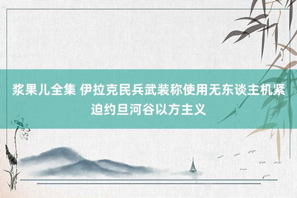 浆果儿全集 伊拉克民兵武装称使用无东谈主机紧迫约旦河谷以方主义