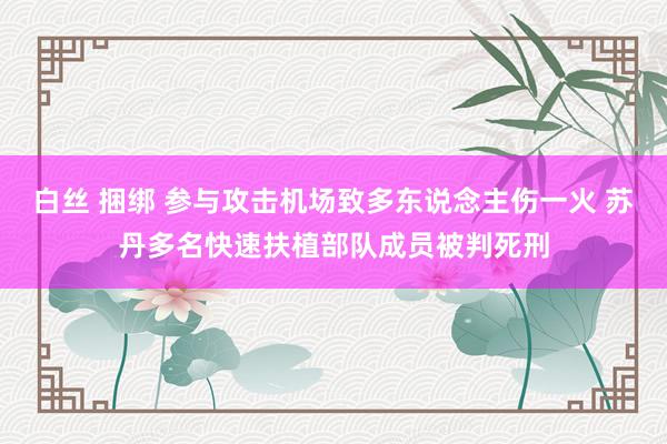 白丝 捆绑 参与攻击机场致多东说念主伤一火 苏丹多名快速扶植部队成员被判死刑