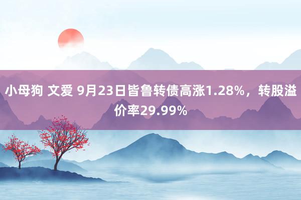 小母狗 文爱 9月23日皆鲁转债高涨1.28%，转股溢价率29.99%