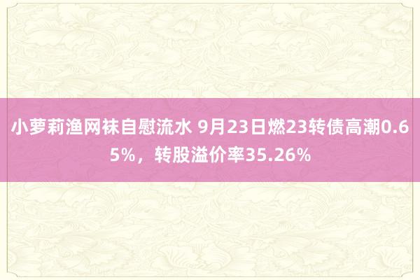 小萝莉渔网袜自慰流水 9月23日燃23转债高潮0.65%，转股溢价率35.26%