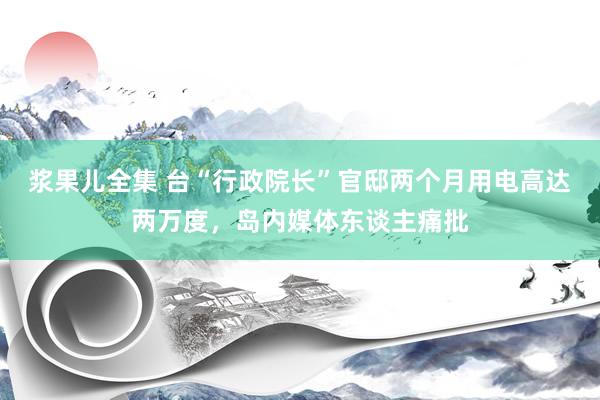 浆果儿全集 台“行政院长”官邸两个月用电高达两万度，岛内媒体东谈主痛批