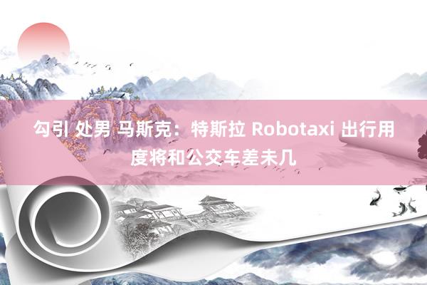 勾引 处男 马斯克：特斯拉 Robotaxi 出行用度将和公交车差未几