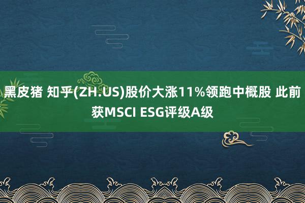 黑皮猪 知乎(ZH.US)股价大涨11%领跑中概股 此前获MSCI ESG评级A级