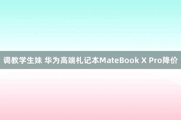 调教学生妹 华为高端札记本MateBook X Pro降价