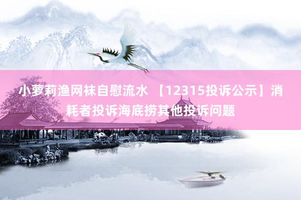 小萝莉渔网袜自慰流水 【12315投诉公示】消耗者投诉海底捞其他投诉问题