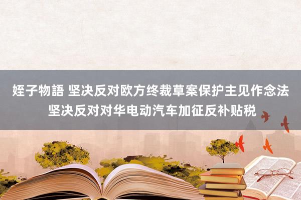 姪子物語 坚决反对欧方终裁草案保护主见作念法 坚决反对对华电动汽车加征反补贴税