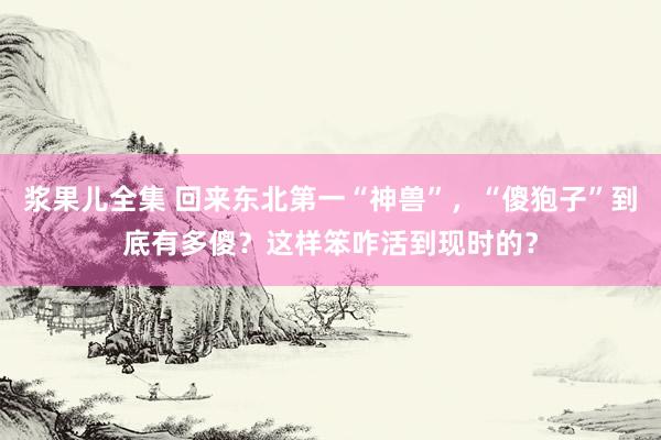 浆果儿全集 回来东北第一“神兽”，“傻狍子”到底有多傻？这样笨咋活到现时的？