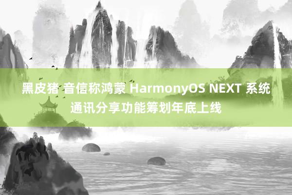 黑皮猪 音信称鸿蒙 HarmonyOS NEXT 系统通讯分享功能筹划年底上线