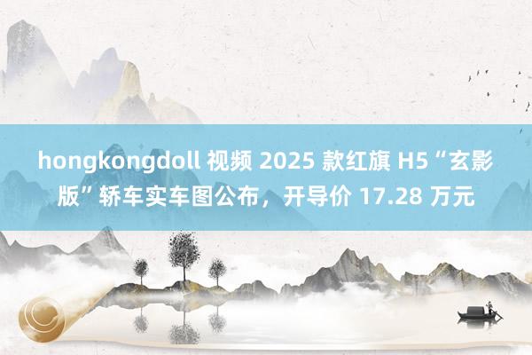 hongkongdoll 视频 2025 款红旗 H5“玄影版”轿车实车图公布，开导价 17.28 万元