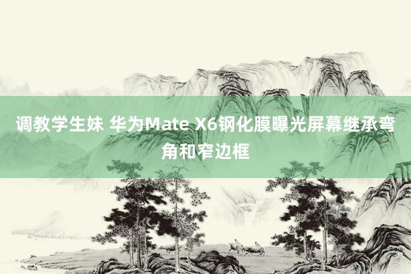 调教学生妹 华为Mate X6钢化膜曝光屏幕继承弯角和窄边框