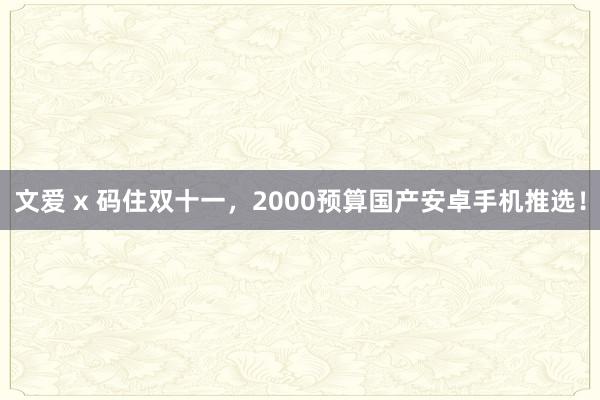 文爱 x 码住双十一，2000预算国产安卓手机推选！