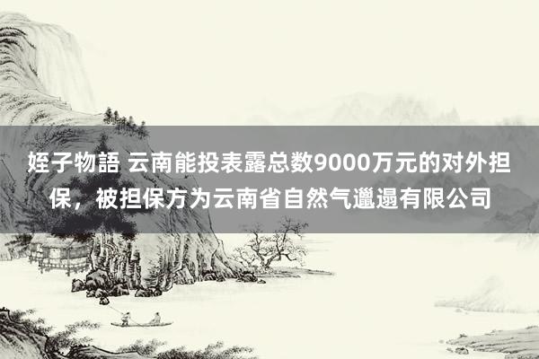 姪子物語 云南能投表露总数9000万元的对外担保，被担保方为云南省自然气邋遢有限公司