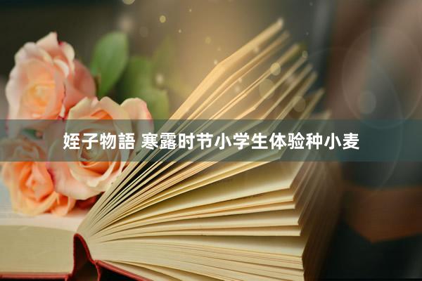 姪子物語 寒露时节小学生体验种小麦