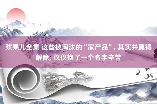 浆果儿全集 这些被淘汰的“家产品”， 其实并莫得解除， 仅仅换了一个名字辛苦