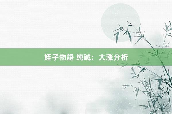 姪子物語 纯碱：大涨分析