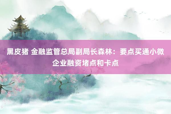 黑皮猪 金融监管总局副局长森林：要点买通小微企业融资堵点和卡点