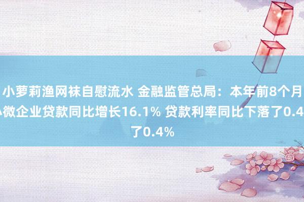 小萝莉渔网袜自慰流水 金融监管总局：本年前8个月小微企业贷款同比增长16.1% 贷款利率同比下落了0.4%