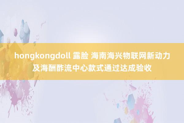 hongkongdoll 露脸 海南海兴物联网新动力及海酬酢流中心款式通过达成验收