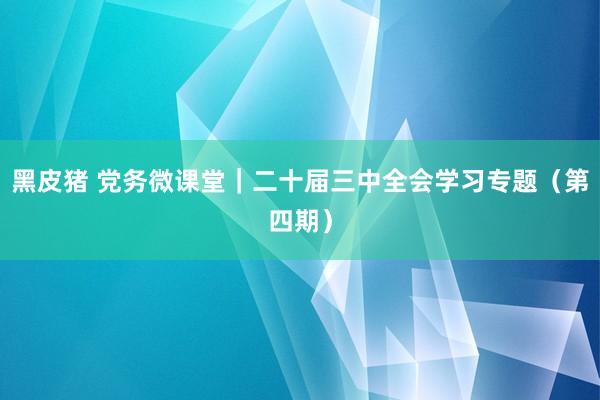 黑皮猪 党务微课堂｜二十届三中全会学习专题（第四期）