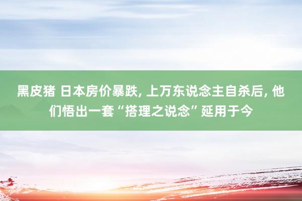 黑皮猪 日本房价暴跌， 上万东说念主自杀后， 他们悟出一套“搭理之说念”延用于今