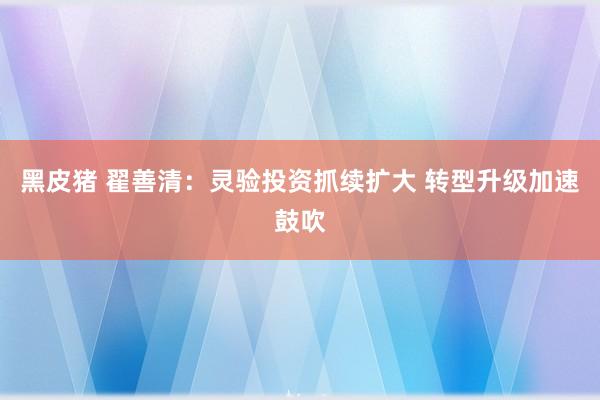 黑皮猪 翟善清：灵验投资抓续扩大 转型升级加速鼓吹