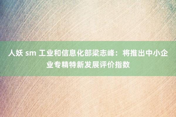 人妖 sm 工业和信息化部梁志峰：将推出中小企业专精特新发展评价指数