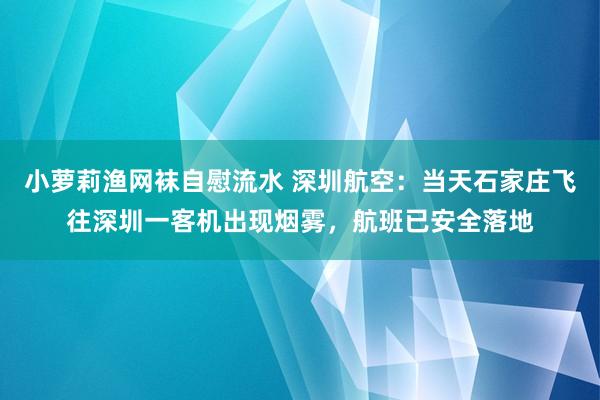 小萝莉渔网袜自慰流水 深圳航空：当天石家庄飞往深圳一客机出现烟雾，航班已安全落地