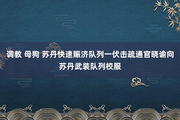 调教 母狗 苏丹快速赈济队列一伏击疏通官晓谕向苏丹武装队列校服