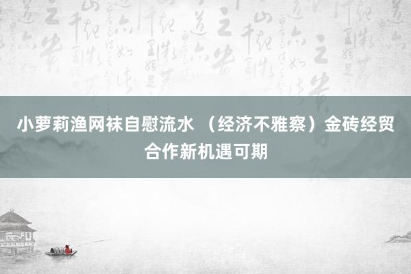 小萝莉渔网袜自慰流水 （经济不雅察）金砖经贸合作新机遇可期