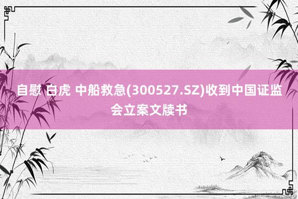 自慰 白虎 中船救急(300527.SZ)收到中国证监会立案文牍书