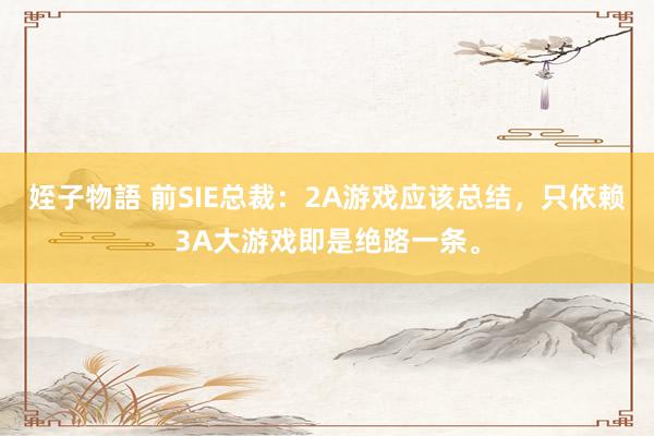 姪子物語 前SIE总裁：2A游戏应该总结，只依赖3A大游戏即是绝路一条。