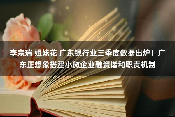 李宗瑞 姐妹花 广东银行业三季度数据出炉！广东正想象搭建小微企业融资谐和职责机制