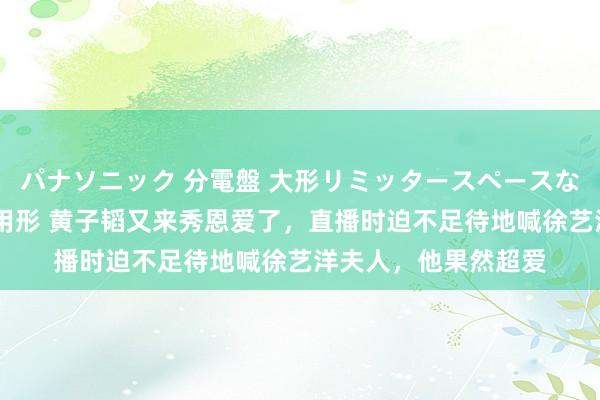 パナソニック 分電盤 大形リミッタースペースなし 露出・半埋込両用形 黄子韬又来秀恩爱了，直播时迫不足待地喊徐艺洋夫人，他果然超爱