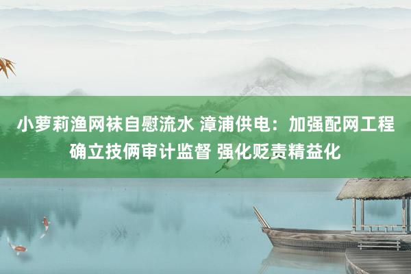 小萝莉渔网袜自慰流水 漳浦供电：加强配网工程确立技俩审计监督 强化贬责精益化